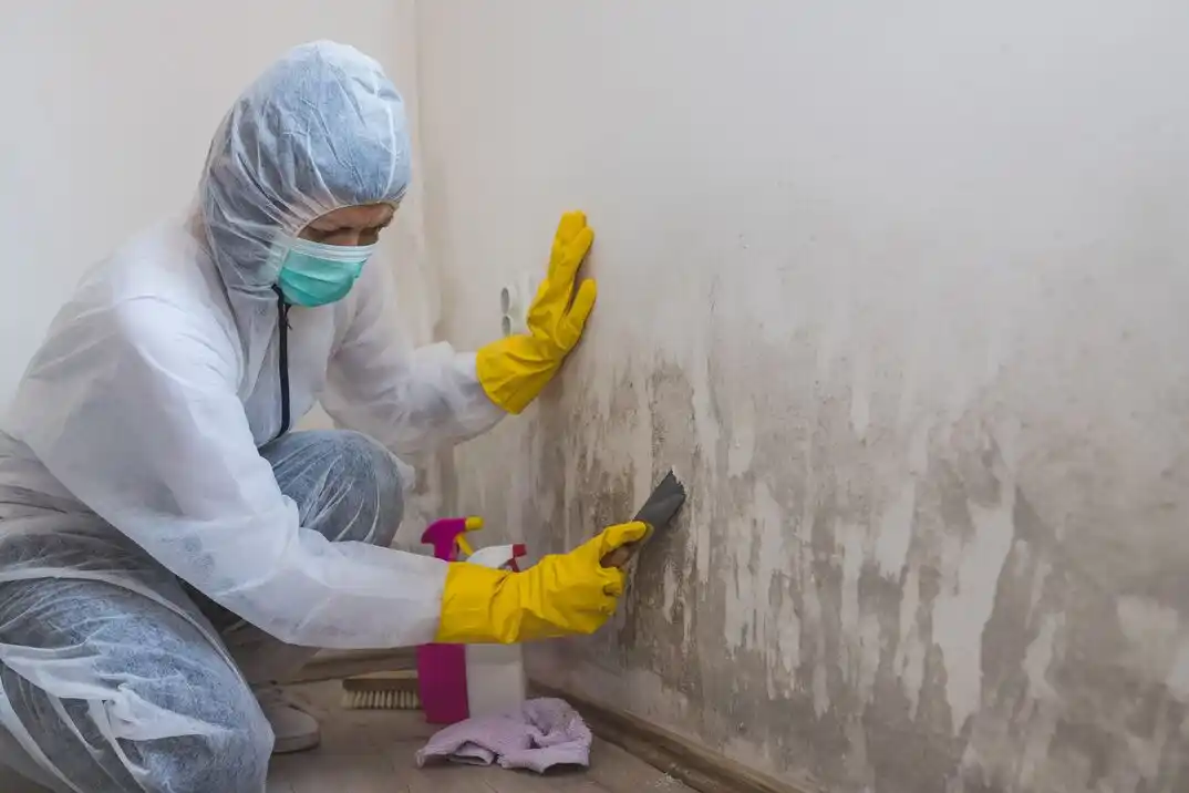water damage restoration service Towne North